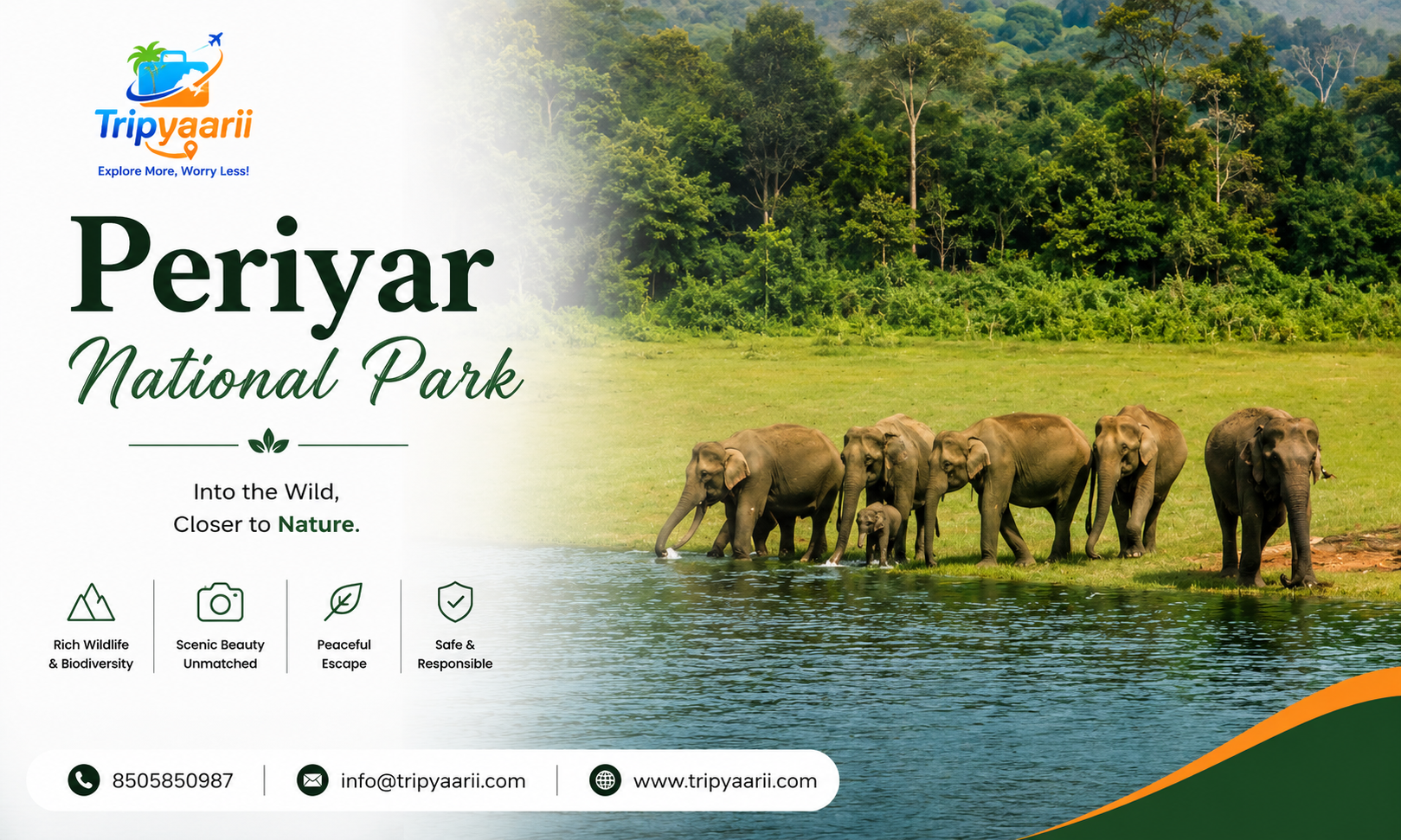 4 Night 5 Days Kerala Package gallery image 6